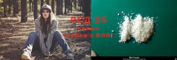 стаф Арсеньев