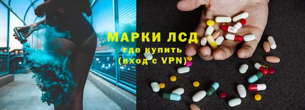 стаф Арсеньев