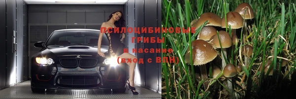 гашиш Аркадак